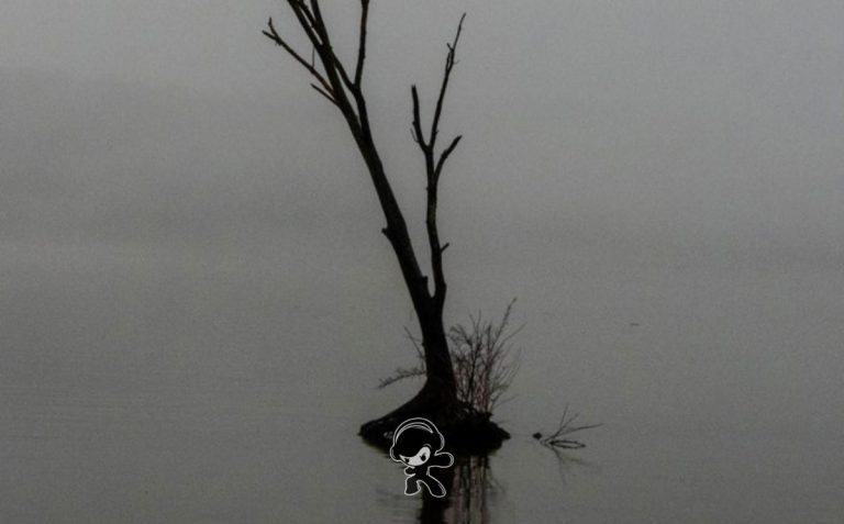 A fleeting solace - 'Metacom' (Metalcore)