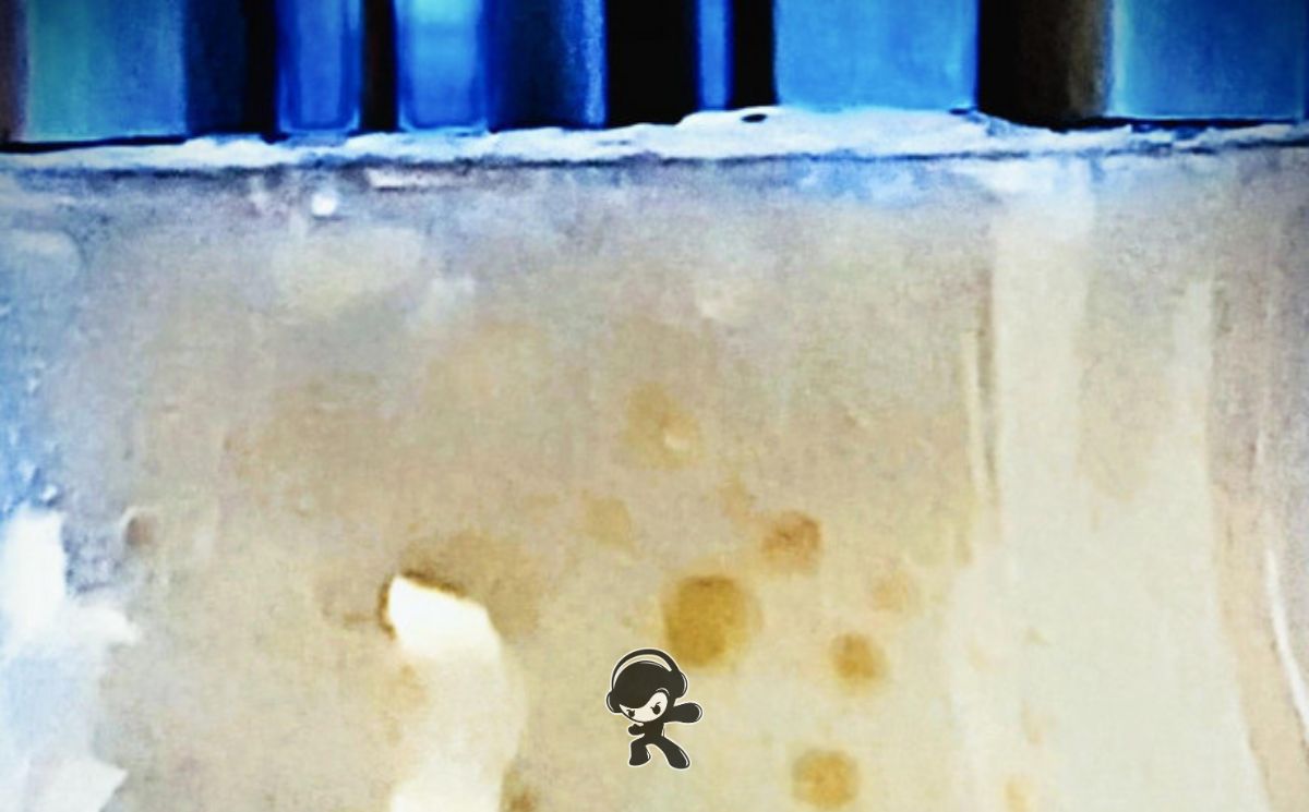 Pork Bun - 'Court Jester' (Experimental)