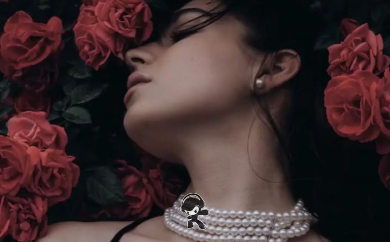 Shah - Noir (Downtempo)