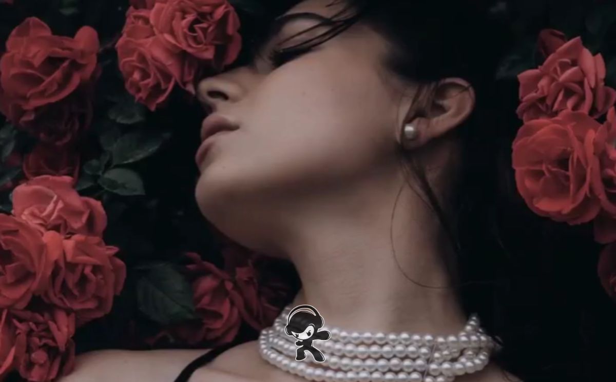 Shah - Noir (Downtempo)