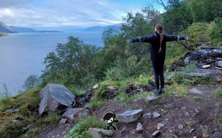 Pekka Westerholm – 'Encontrando mi camino' (Progressive Rock)