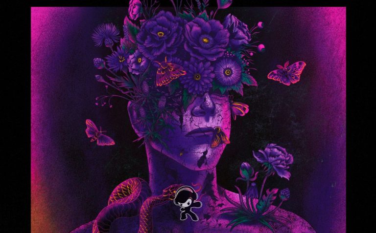 Dreamer Dreamer - New Face (2024)