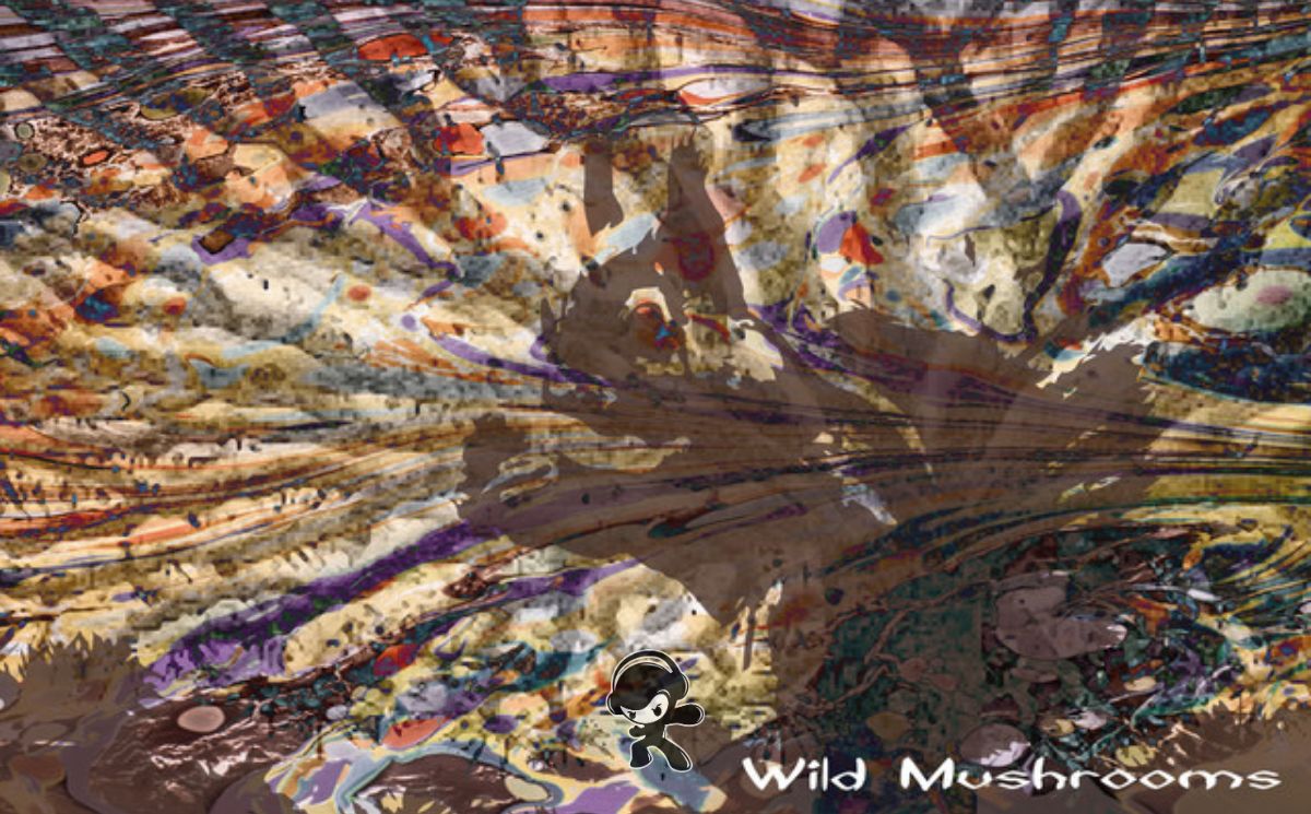 Wild Mushrooms - The Squirrel (World Music)