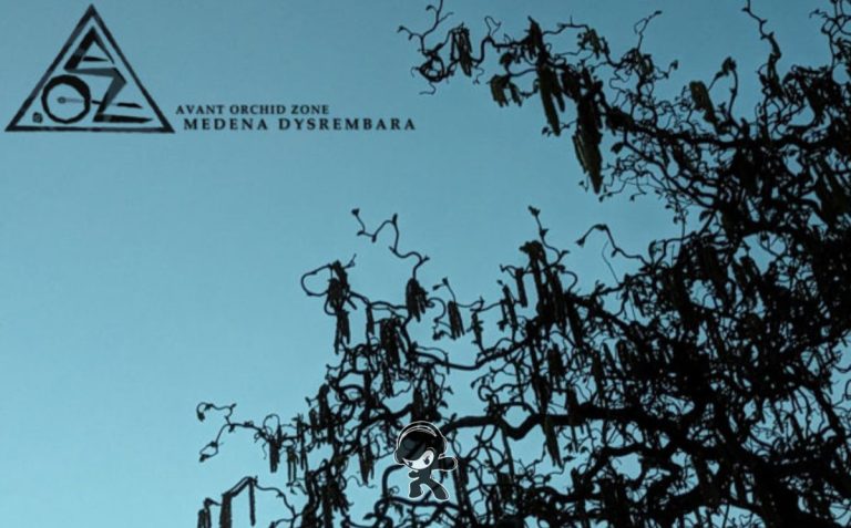 Avant Orchid Zone - The Fox & the Fire (Progressive Rock)