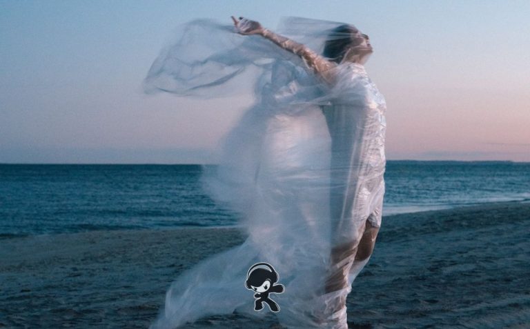 Camille Schmidt - Stanley (Indie Rock)