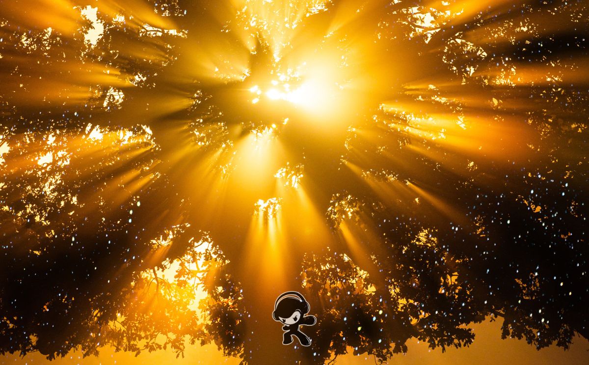 Chris Youmans - Summer Love (Pop)