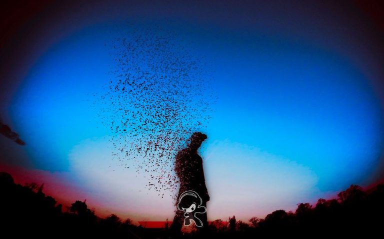 Skeb - Not Important (Modern Progressive Rock)