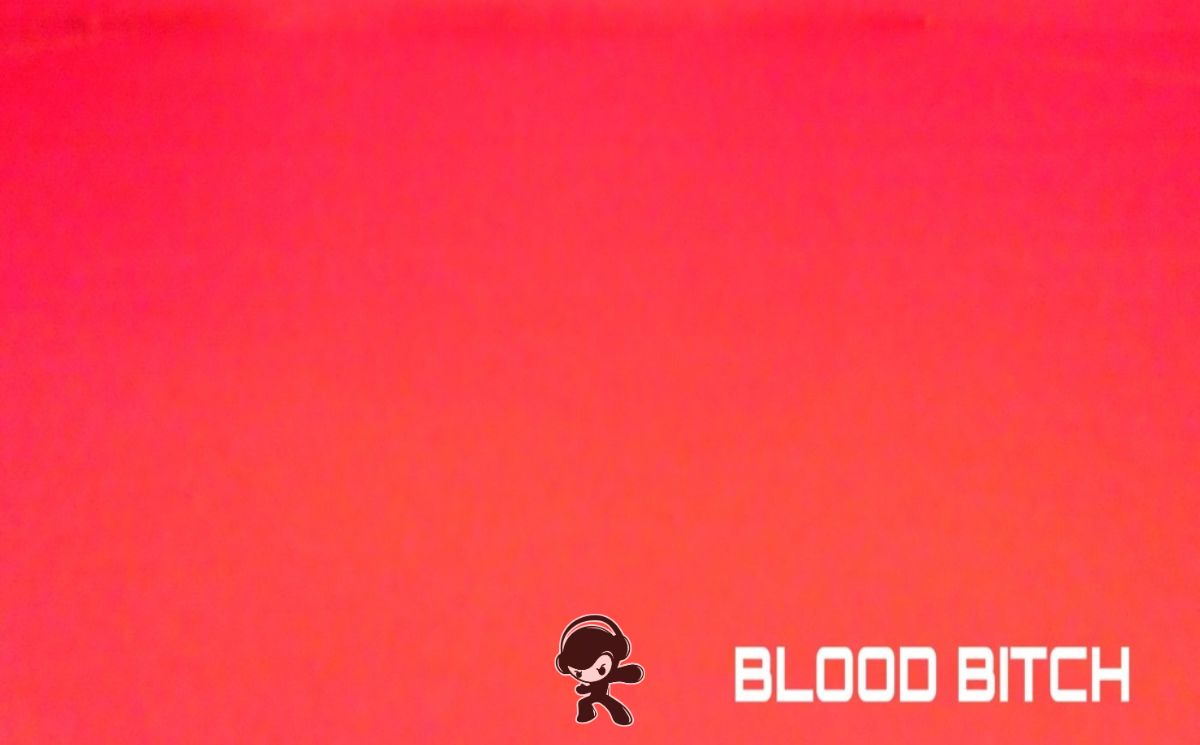 BLOOD BITCH - when you're awake (Alternative Metal)