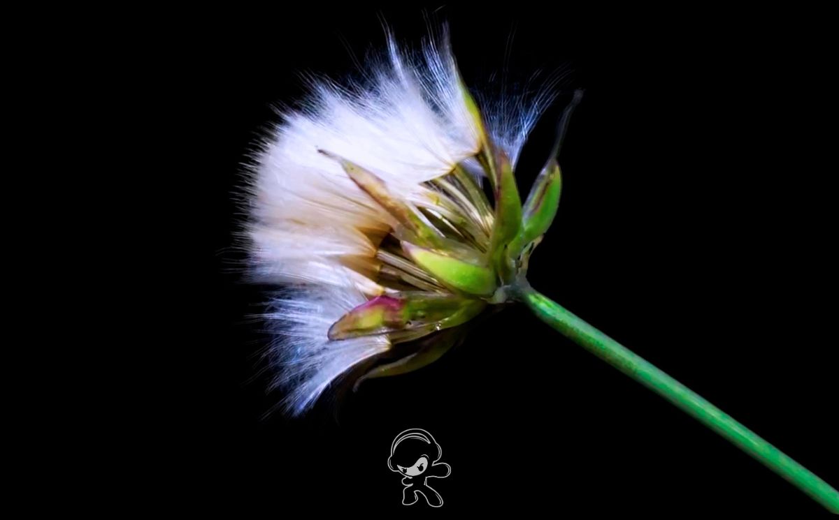 Music By Idiots - Brutal Youth (Alternative Rock)