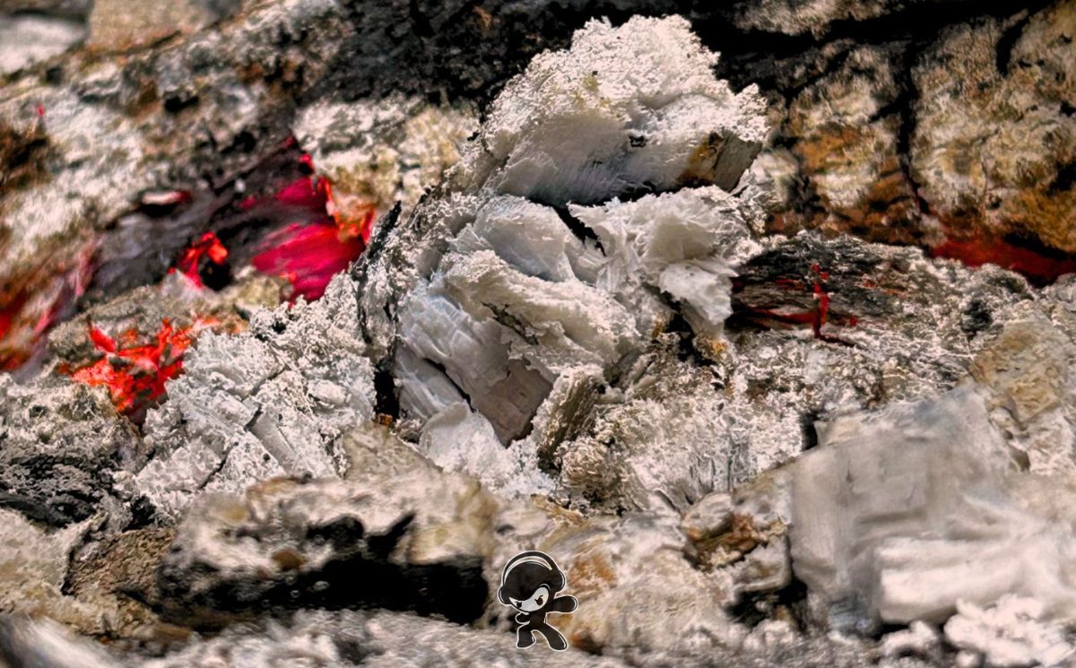 Maximiliano - Flor De Piel (Indie Pop)