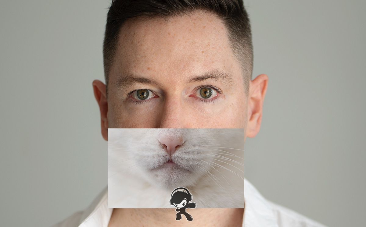 Andrew Spice - Gentle Sentinel (Pop)