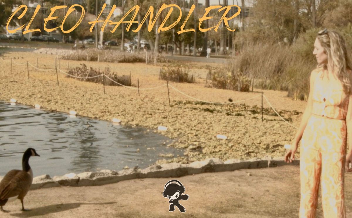 Cleo Handler - compare & contrast (2025) Album