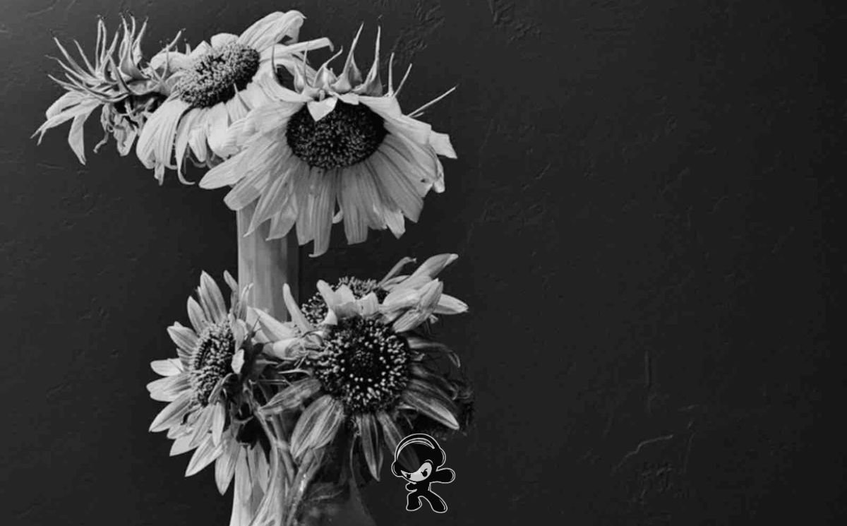 NOL K - XP (Alternative Metal)