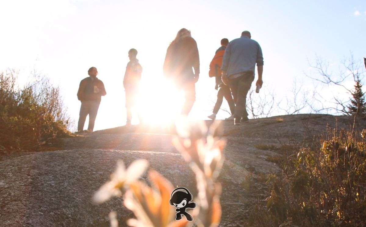 Beauts – Fall In Flight (Indie Rock)