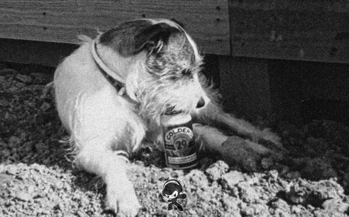 Placid State – Bleeder (Alternative Metal)