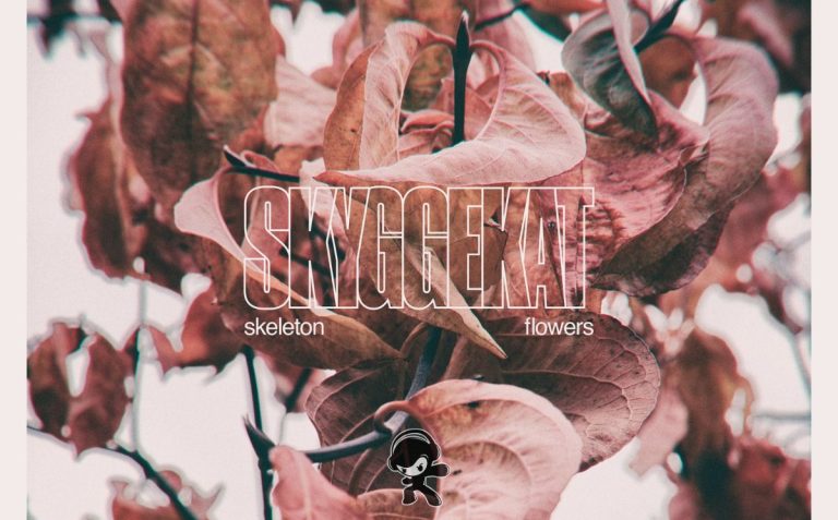 Skyggekat - Skeleton Flowers (Post Rock)