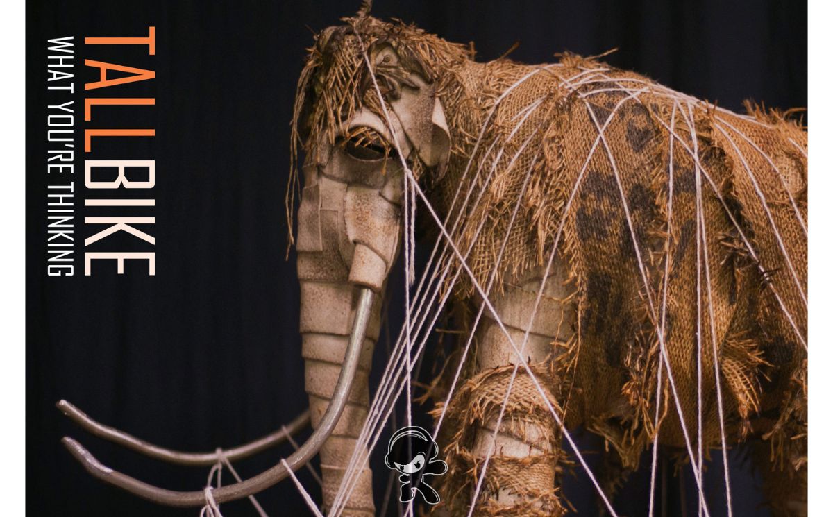 Tallbike – What You're Thinking (Alternative)