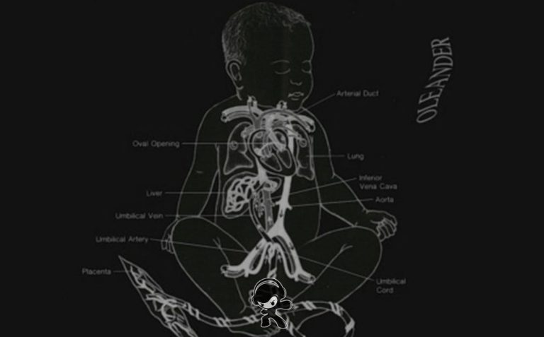 The Oleander Project - A Thousand Hours In (Noise Rock)