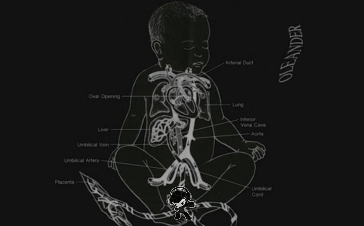 The Oleander Project - A Thousand Hours In (Noise Rock)