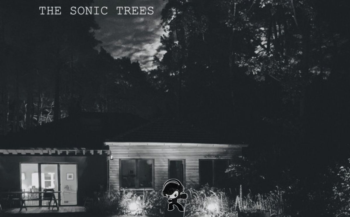 The Sonic Trees – The Story Never Grows Old (Indie Pop)
