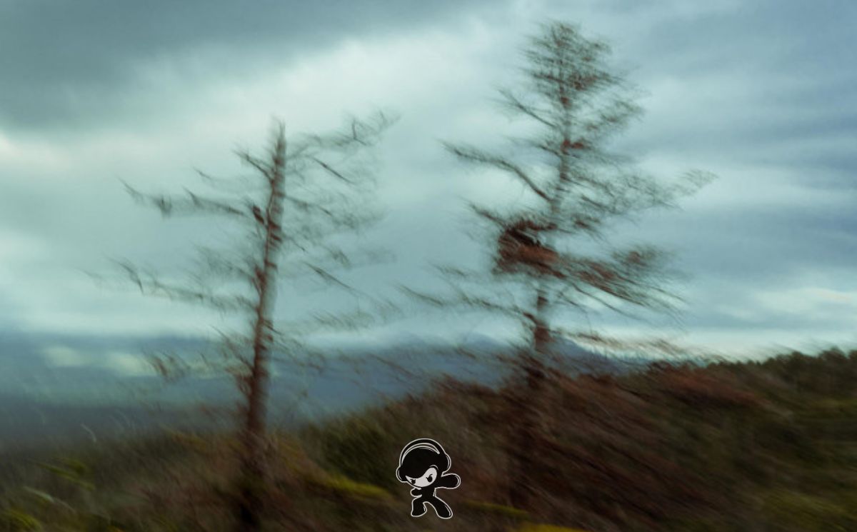 Vry Monday - 2024 (Stoner Rock)