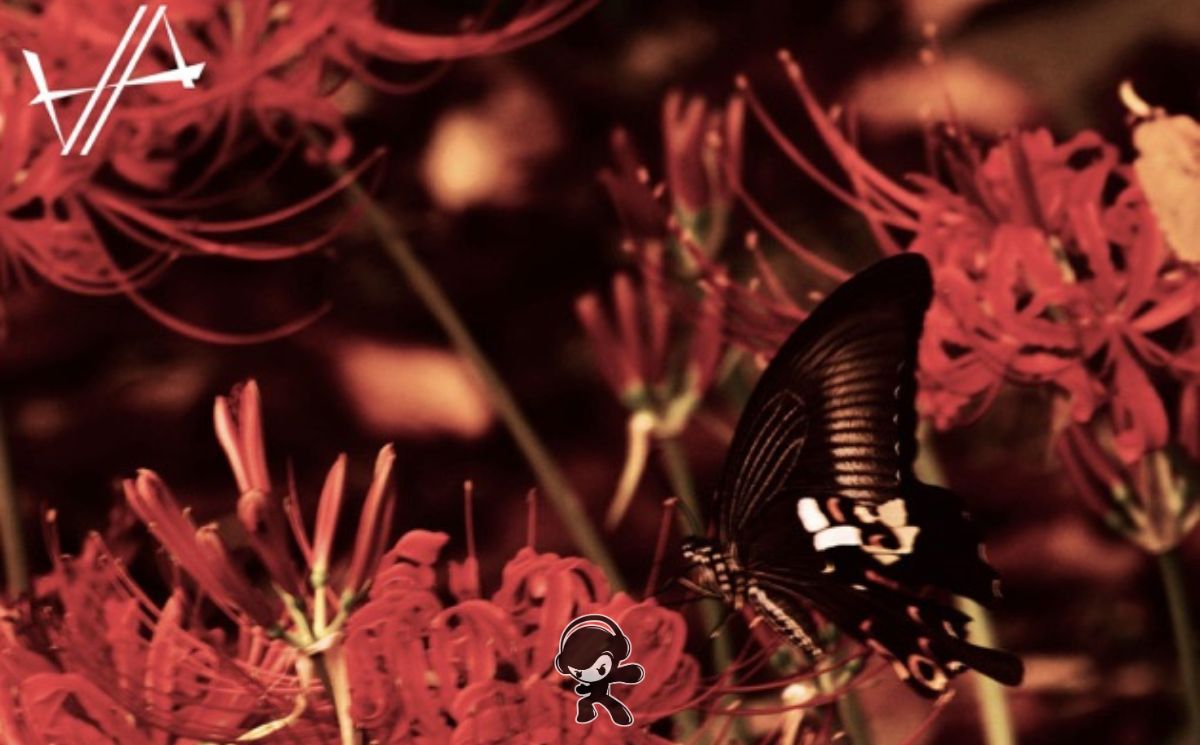 byakusyn – kuroageha (Melodic Metal)