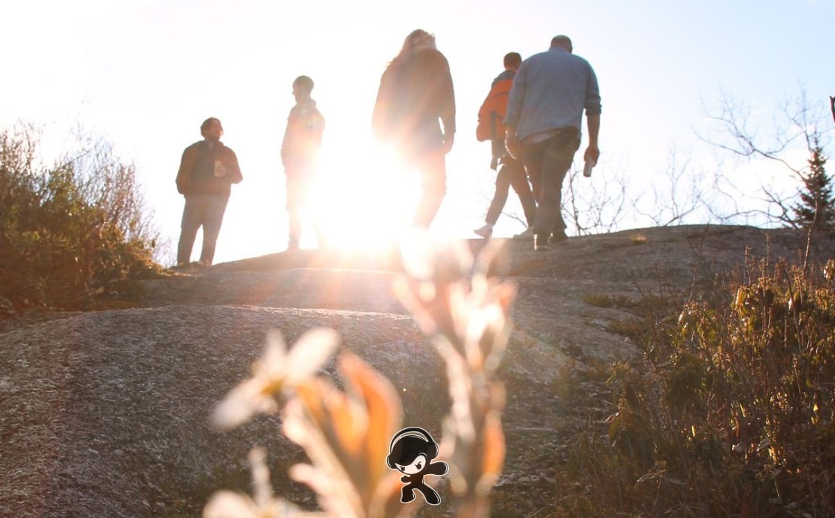 Beauts – Waverley (Dream Pop)