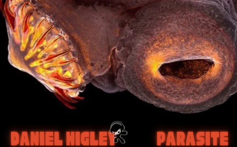 Daniel Higley – Parasite EP (2025)