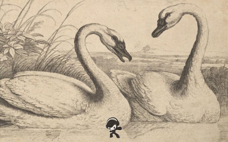 JD Sterling – Blue Jean Baby (Indie Folk)