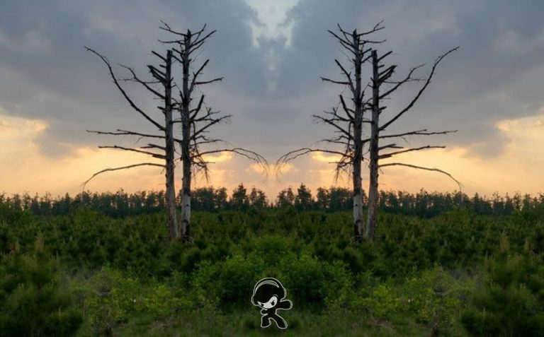 The Milgram Reverie – Probably Not (Alternative Metal)