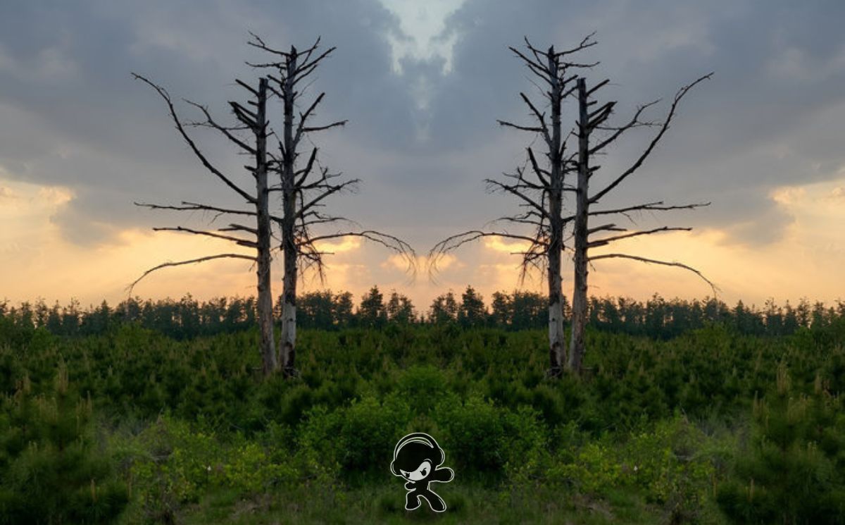 The Milgram Reverie – Probably Not (Alternative Metal)