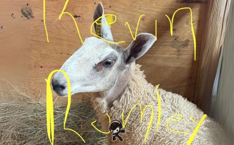 Kevin Rumley - Habibti (Indie Rock)