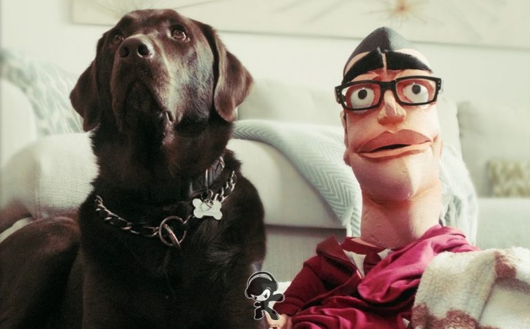 MADANES – Your Dog (Indie Rock)