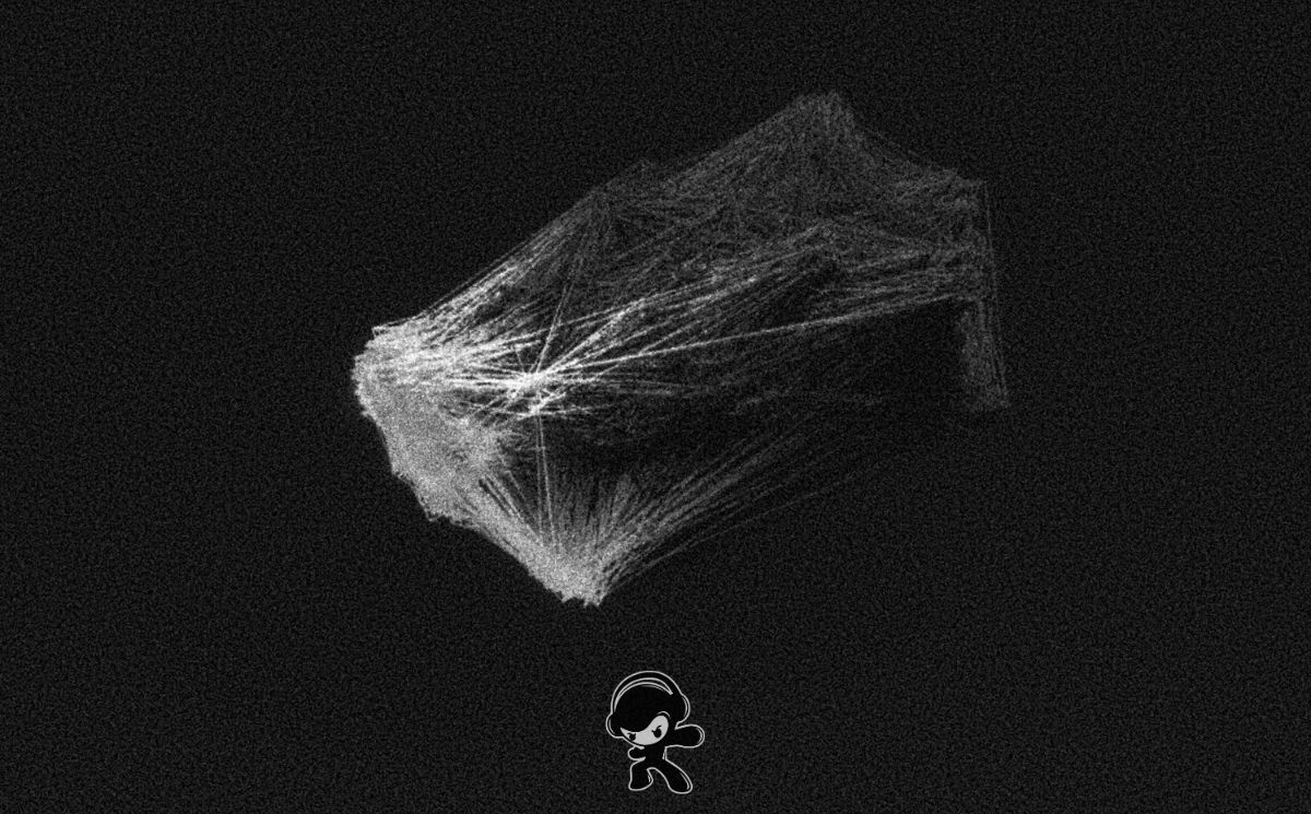 Mihai Traista - Acorn Theory (Cinematic)