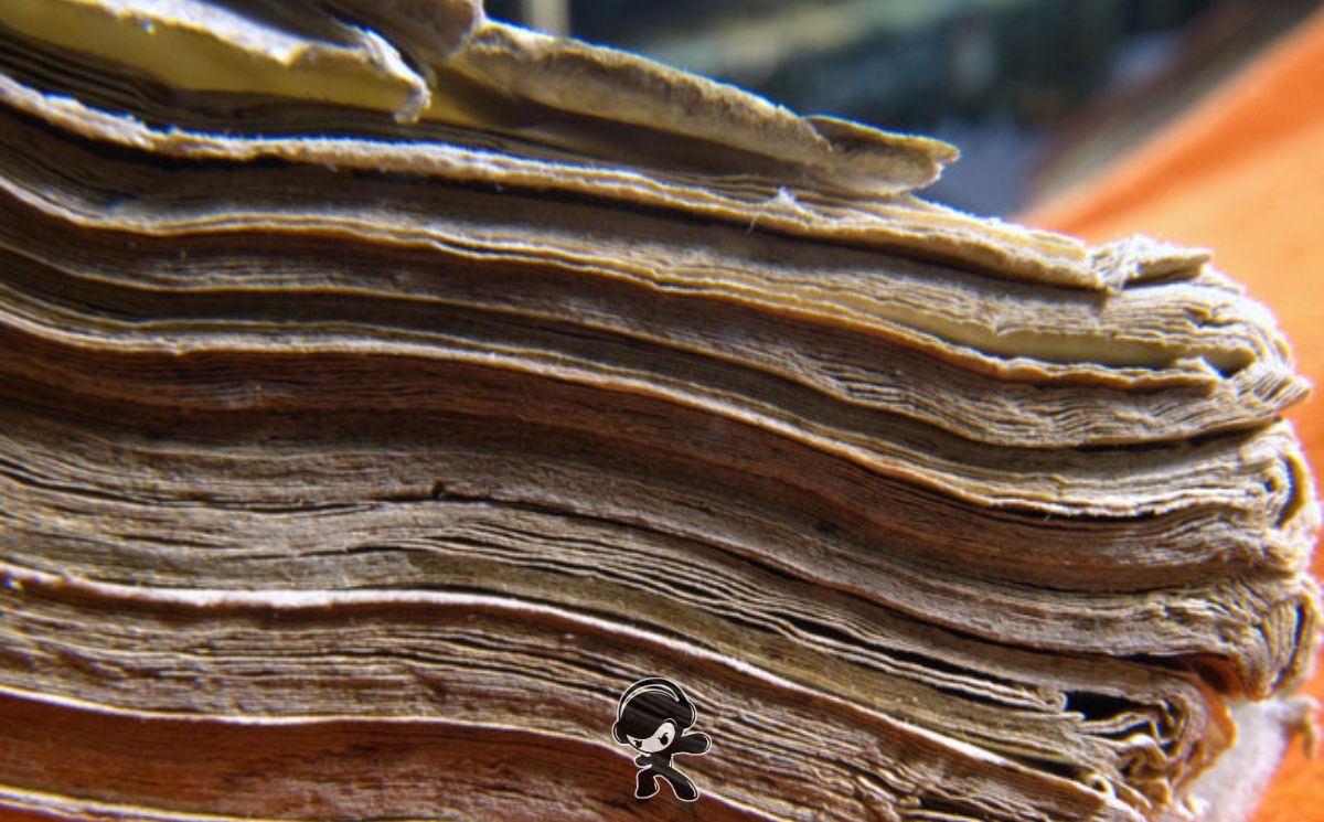 Tukuru Pireri - Hijos de Ōmeteōtl (Dream Pop)