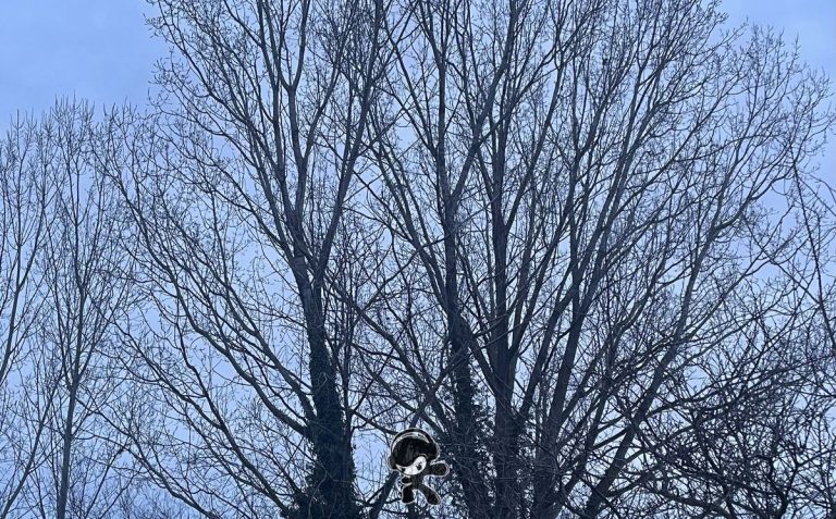 Indenwolken - Quiet Ghosts (Experimental)