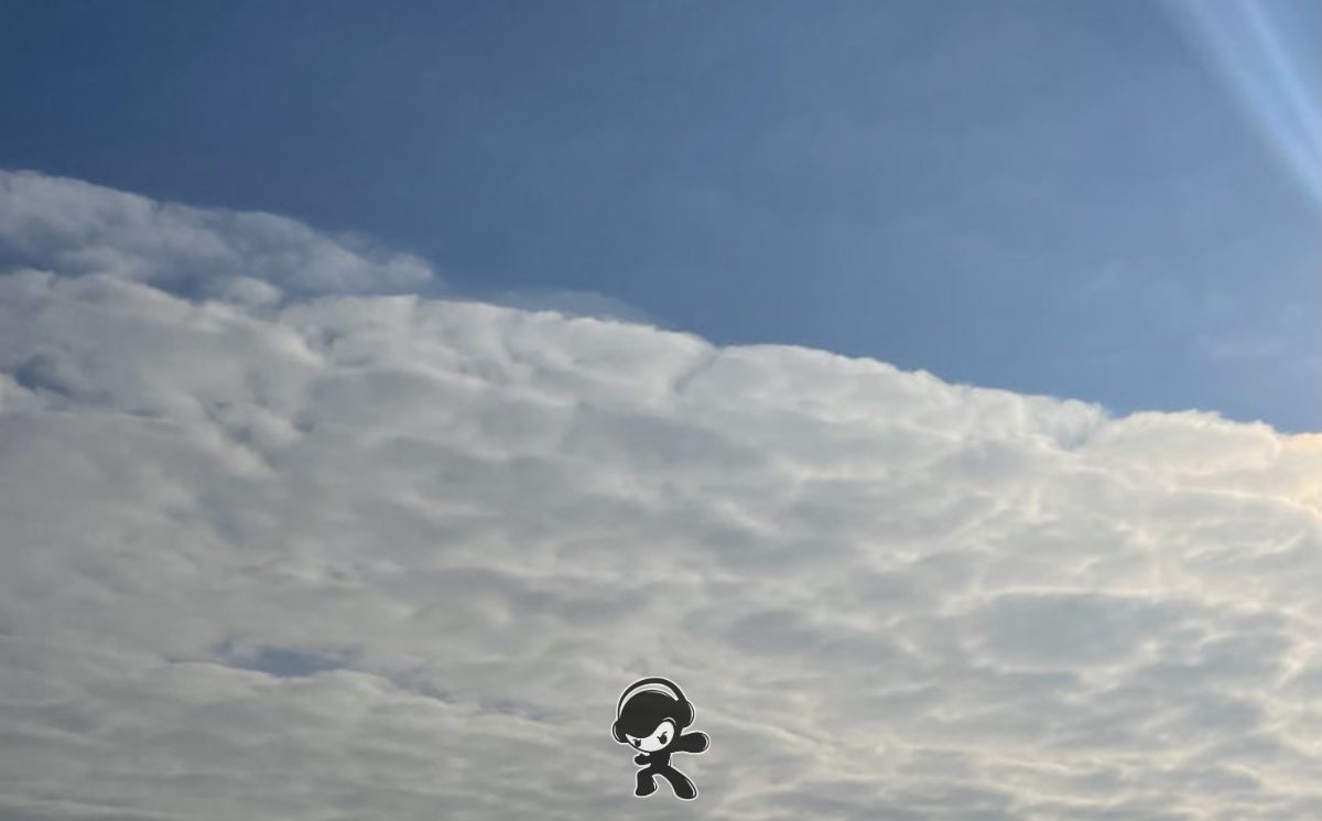 Indenwolken - Tropical Parties Are Sad (Indie Pop)