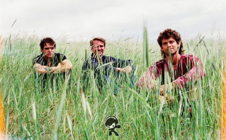 The Moss - Your Way (Indie Pop)