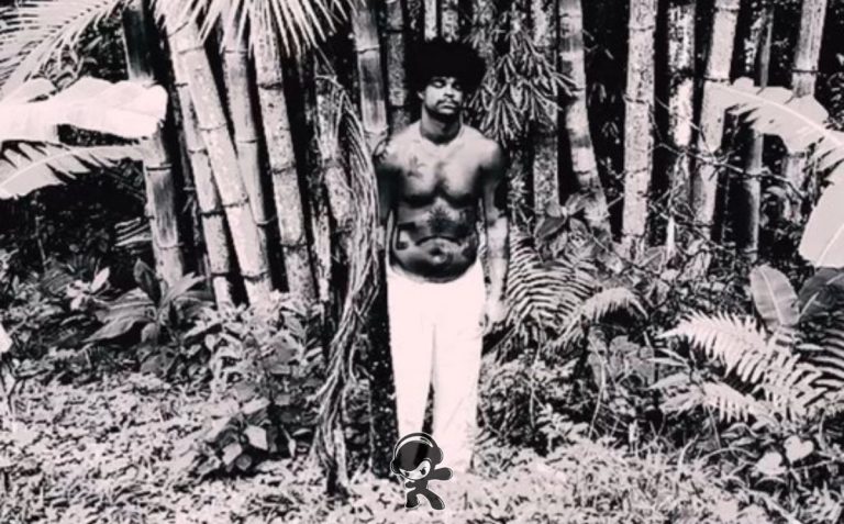 Qu. Blaawn - Burning Pussy (Experimental Electronic)