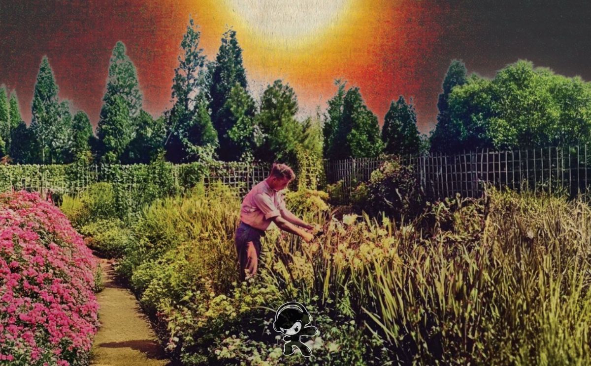 Skinny Dippers - Please Be Kind, Rewind (Indie Folk)