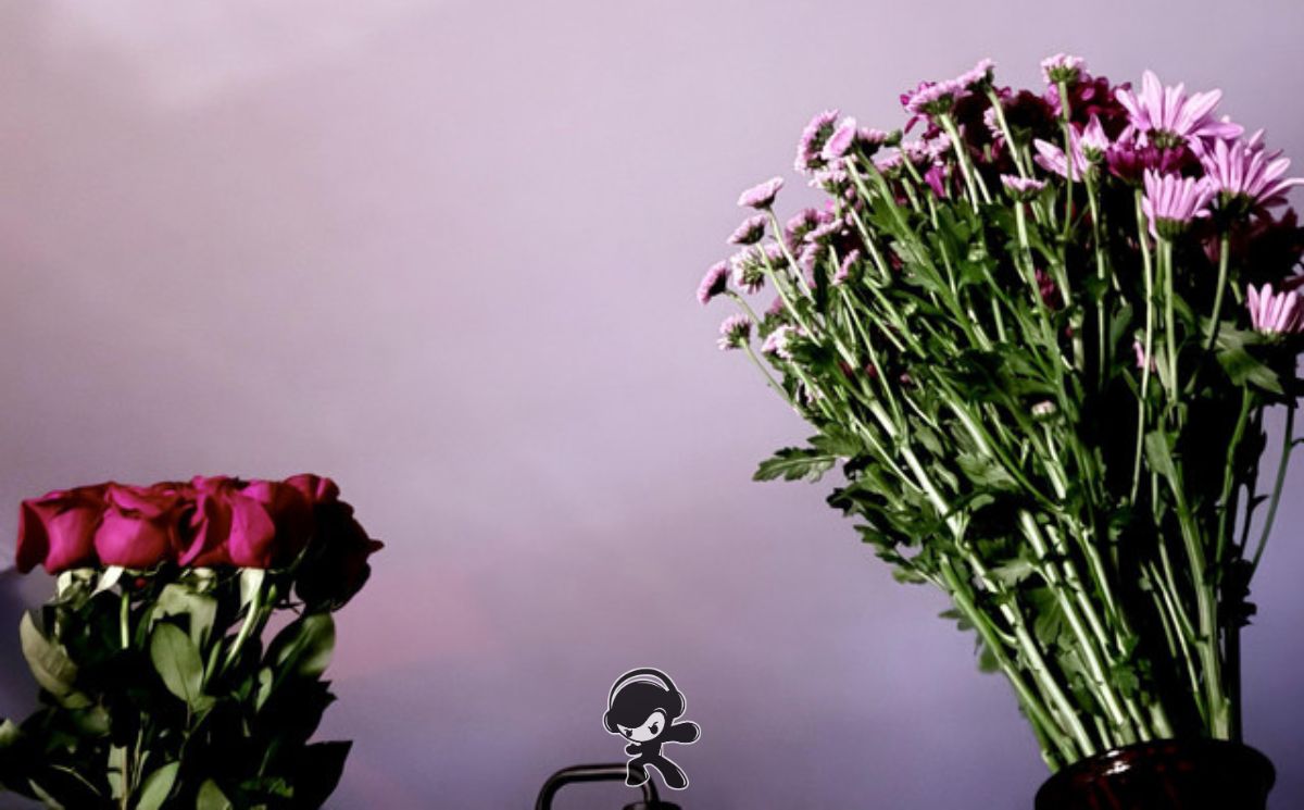 slowmo.shon - Sun Kissed You (Downtempo)